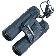 Humvee 10x25mm Compact Black Precision Binoculars