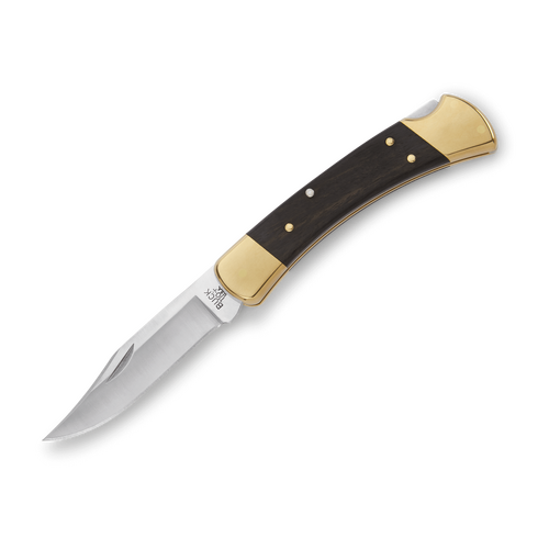 Buck Hunter, Folding Knife 110BRS, Leather Sheath